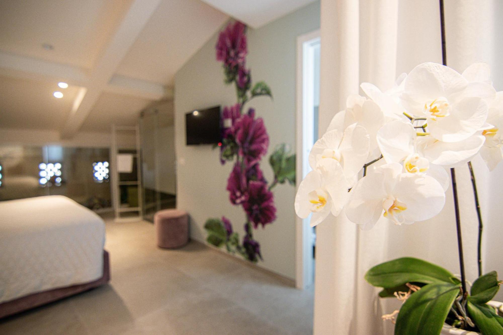 Profumi Di Primavera Luxury Rooms & Suite Matera Bagian luar foto